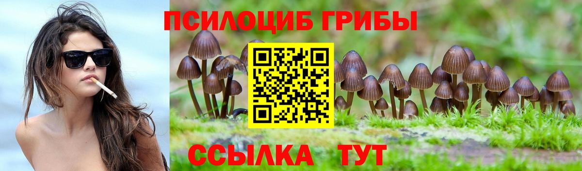 Новый Уренгой  Псилоцибиновые грибы Magic Shrooms  Вход с VPN 